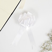 Бант - шар №3 простой белый