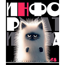 Предметная тетрадь 48л.клетка КТС "Заряженные пушистики", информатика, лак