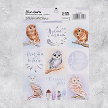 Наклейки бумажные «Совушки» , 11 × 15,5 см
