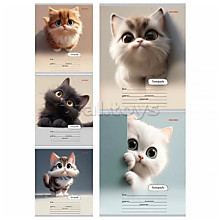 Тетрадь 18л. линия "Милый взгляд котенка" цвет.мелов.обл.,5 дизайнов в спайке