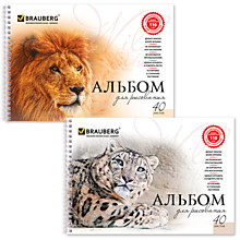 Альбом для рисования, А4, 40 листов, гребень, обложка картон, BRAUBERG, 205х290 мм, "Благородные кош