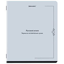Тетрадь предметная VINTAGE 48 л., SoftTouch, РУССКИЙ ЯЗЫК, линия, подсказ, BRAUBERG,