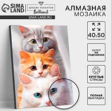 Алмазная мозаика с полным заполнением на холсте с подрамником «Котята», 40 х 50 см