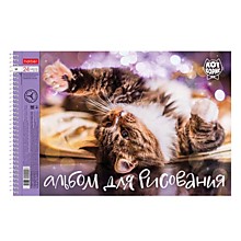 Альбом для рисования А4, 24л, Hatber "Кот Борис", спираль, обложка мелованный картон, перфорация