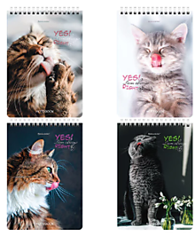 Блокнот А5 (146х206 мм), 80 л., гребень, картон, клетка, BRAUBERG, "Довольные коты", 114374