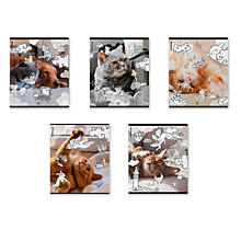 Тетрадь 48л.кл.скрепка Erich Krause, "Dream Cat" пластиковая обложка