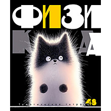 Предметная тетрадь 48л.клетка КТС "Заряженные пушистики", физика, лак